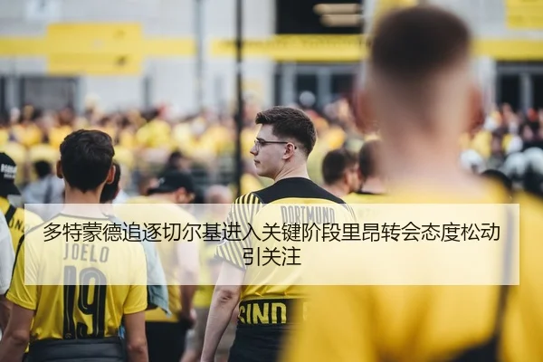 多特蒙德追逐切尔基进入关键阶段里昂转会态度松动引关注
